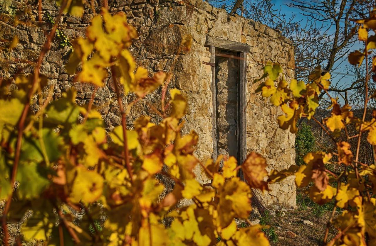 Condrieu Comme A La Maison Exterior foto